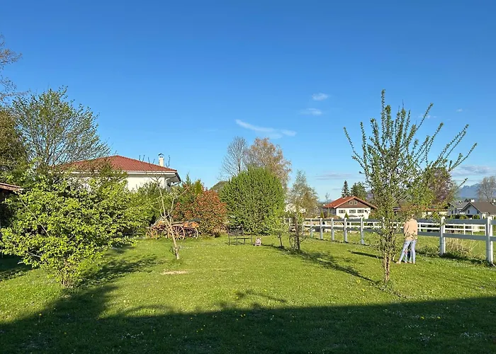 Black Horse Family Apartment - Barrierearm - Pfotenglueck - Familienzeit By Loewenherz Homes